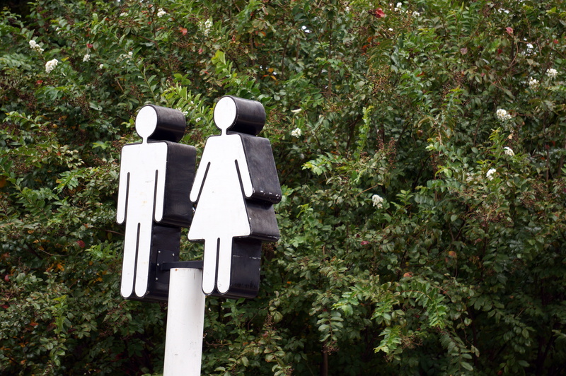 plant part, day, birdhouse, guidance, lavatory, outdoors, leaf, nature, bathroom, icon, trees, restroom sign, tree, representation, silhouette, women, street