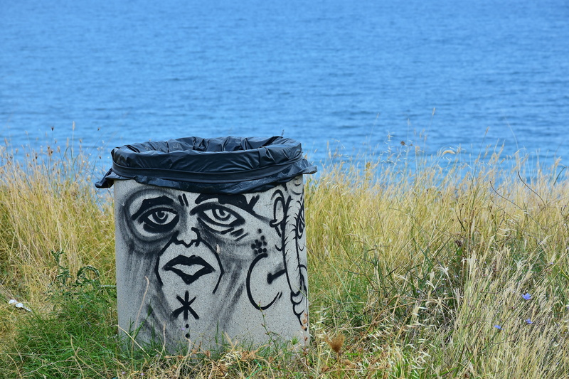 art and craft, thrown away, seas, body, meadow, day, sea, responsibility, tranquility, environment, land, disposed of, gray, garbage, field, landscape