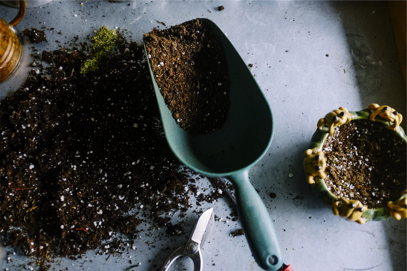 no people, high angle view, directly above, nature, vegetable, 1080P, pots, food and drink, spoon, soil, close-up, water, scoop, eating utensil, household equipment