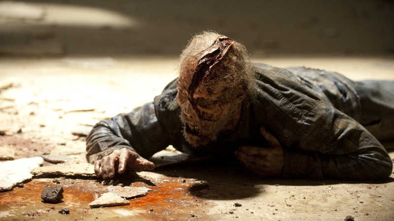 reptile, TV Show, dirty, indoors, no people, vertebrate, The Walking Dead, focus on foreground, animals in the wild, despair, lying down, 1080P, close-up