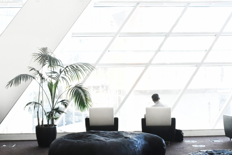 contemporary, modern, window, 5K, interior design, sofa, chair, tube, technology, office, furniture, growth, houseplant, room, day, potted plant, table
