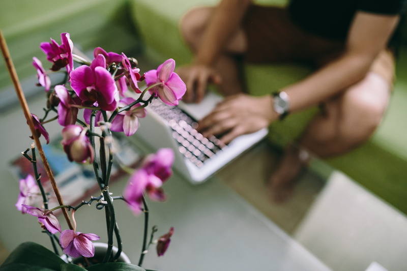 women, holding, workspace, tech, caucasian Ethnicity, wiem, flower, technology, working, men, human body part, connection, 4K, laptop, communication, females
