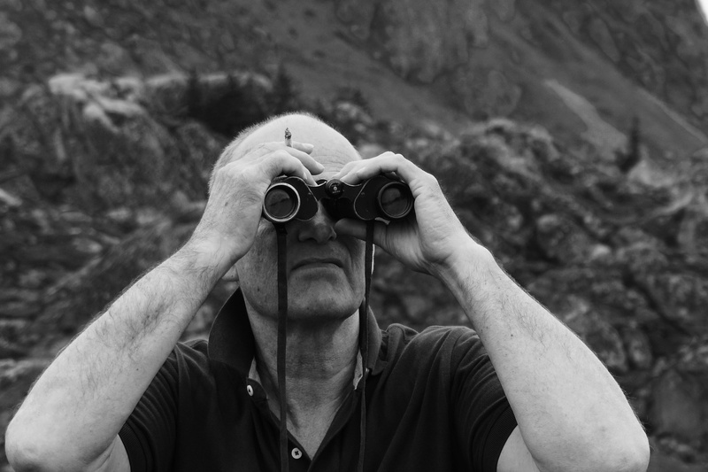 front view, sunglasses, animal, sphere, dip, arm, wildlife, human, oval, plastic wrap, accessories, norway, leisure activity, using, day, greyscale, ballstad - lofoten