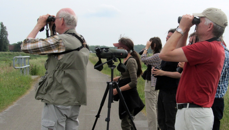 home video camera, watch, filming, spotting, men, dyke, photographing, tripod, looking through an object, 2K, people, communication, holding, bird watchers