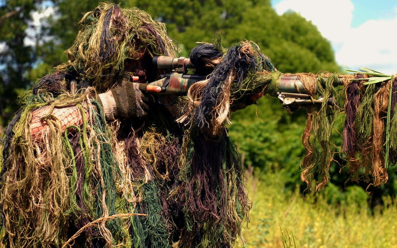 day, outdoors, plant, focus on foreground, field, beauty in nature, grass, green color, no people, 1080P, green, land, sunlight, hairstyle, ghillie, Military