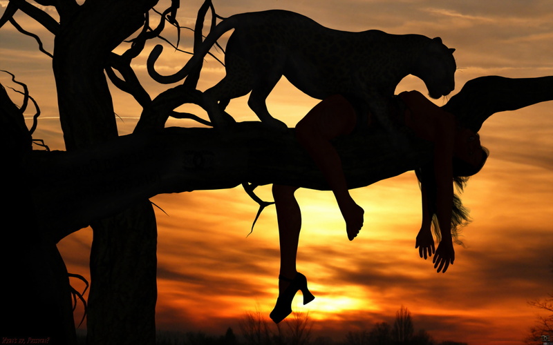 horror, dark, manipulations, females, sunset, situations, cats, creepy, scary, women, 2K, africa, mood, digital art, macabre, girls, leopards, sunrise