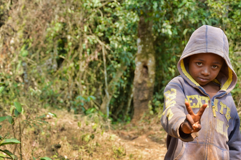 child, outdoors, cameroon, childhood, boys, cute, waist up, land, douala, tree, africa, peace, day, hood - clothing, males, 4K, portrait, men, nature