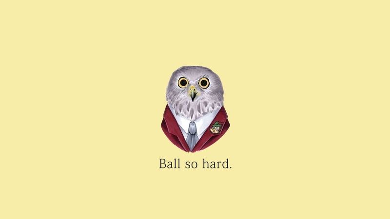 owl, quote, 1080P, Kanye West
