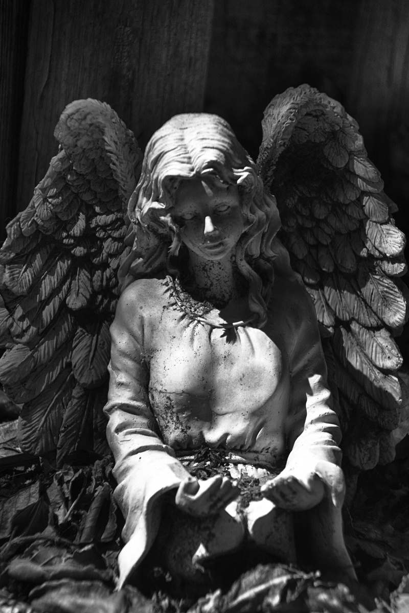 statue, angel, monochrome, wings, Fred Higgins, 500px, 1080P