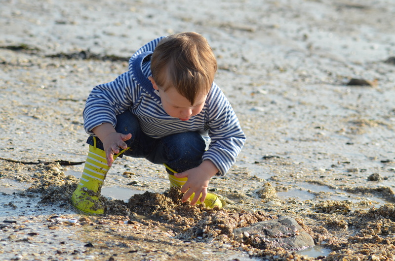 males, boy, 4K, boys, beach, leisure activity, summer, marine sweater, one person, nature, people, learning, crouching, play, sea, montessori, offspring
