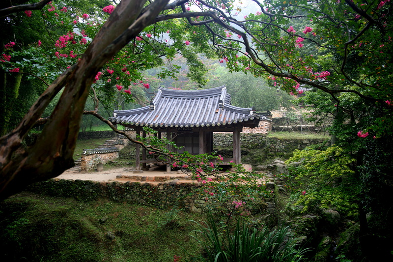 religion, traditional, tree, flower, 5K, growth, place of worship, a small iron garden, lagerstroemia indica, green, surrounded, republic of korea, building exterior