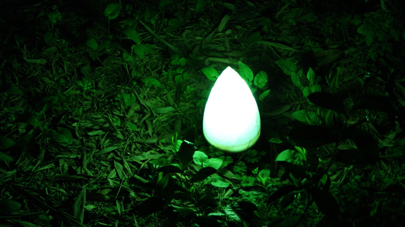 tree, plant, green, sphere, green color, lighting equipment, landscape, glowing, leaf, beauty in nature, night, korea, field, republic of korea, plant part