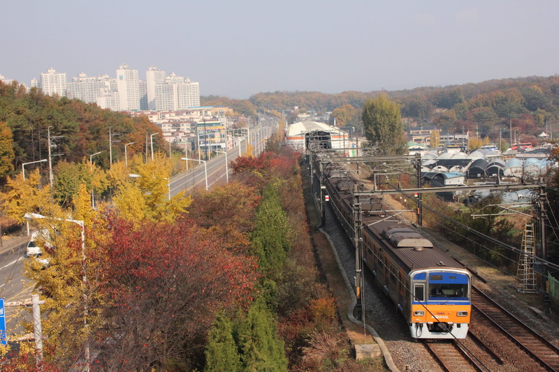 republic of korea, building exterior, 5K, commuting, shipping, motor vehicle, avenue, the train path, seasonal, plant, mode of transportation, day, city