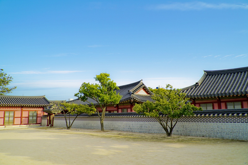 korea, day, wood, house, religion, building, 4K, place of worship, tree, clear sky, roof, belief, republic of korea, built structure, festival, outdoors