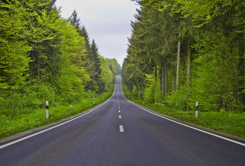 just, forest, gray, avenue, direction, green color, valley, day, tranquility, the way forward, growth, symbol, infinite, sky, asphalt, sign, nature, country