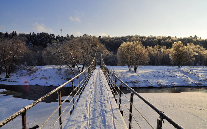 sky, landscape, nature, path, plant, trees, covering, tranquil scene, beauty in nature, 2K, white, diminishing perspective, outdoors, frozen, tranquility