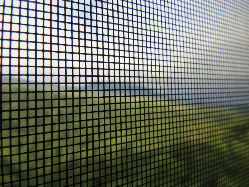 design, nature, close-up, think, boundary, metal, tranquility, interdependence, self-knowledge, sovereignty, indoors, dom, day, barrier, sustainability