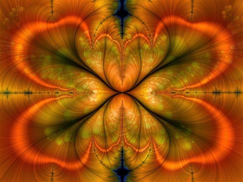 fractals, hd, abstract, art, butterfly, 480P