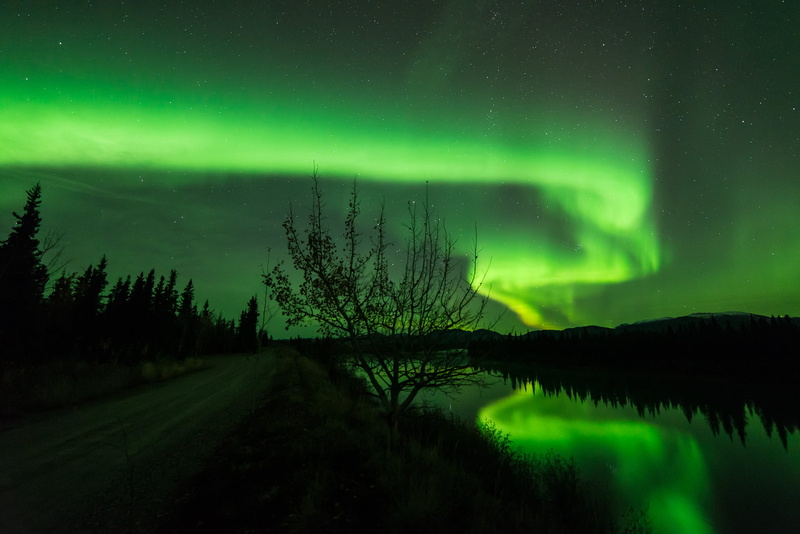 night, star - Space, Yukon River, sky, 1080P, forest, Whitehorse, nature, aurora Polaris, auroa, Northern Canada, dark, Autumn, landscape, astronomy, galaxy
