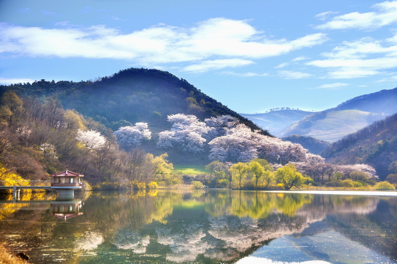 republic of korea, water, outdoors, summer, tranquil scene, tranquility, scenery, near, non-urban scene, daylight, day, waterfront, 4K, cloud - sky, body