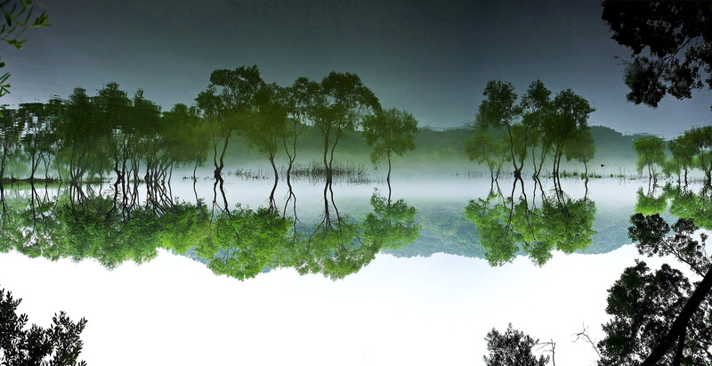 landscape, the leaves, green, bathing, environment, reflection lake, view, water, tranquility, travel, scenery, 2K, rainforest, nature, scenics - nature