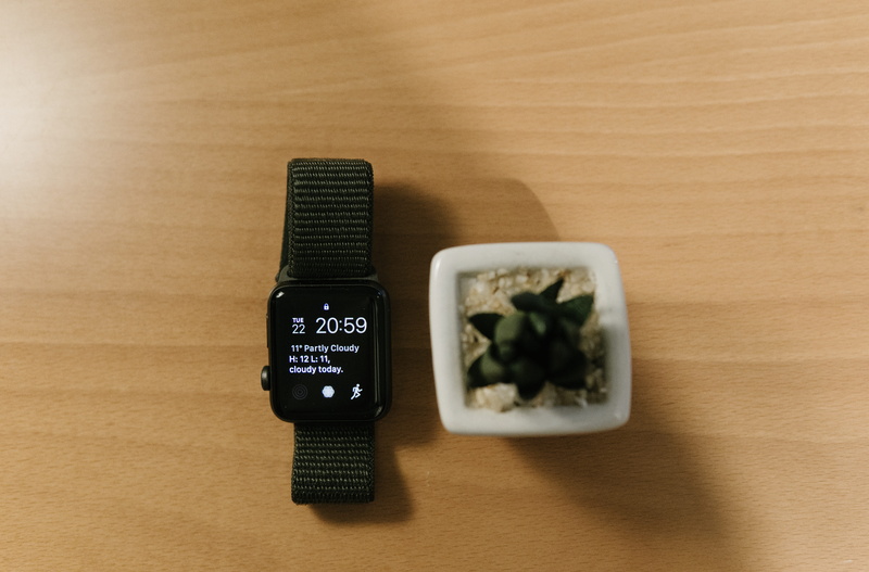 succulent, wood, western script, ios, aluminum, shelf, iwatch, high angle view, honeycomb, watch, minimal, meal, plant, digital watch, gray, honey, healthy eating