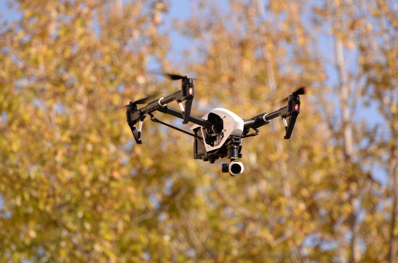 outdoors, technology, autumn, day, drone, plant part, no people, mid-air, security, sunlight, 4K, low angle view, surveillance, leaf, nature, dji inspire one 4k for desktop