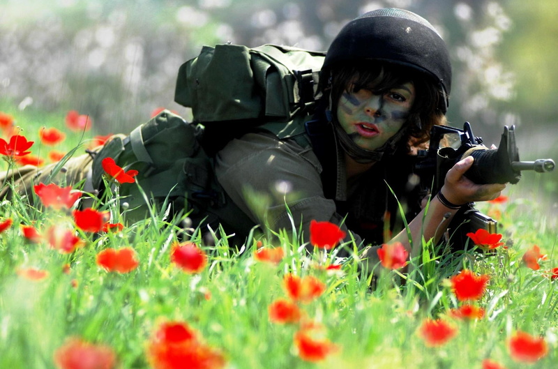 young adult, army soldier, M4A1, military, day, soldiers, army, 1080P, Zahal, nature, Maki, black, grass, flower, AOI, gun, s, uniform, holding, helmet