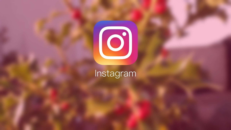 application, communication, no people, representation, food and drink, instagram, wireless technology, plant, technology, food, focus on foreground, convenience