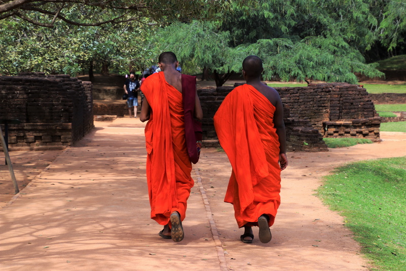 nature, plant, the person, figure, orange color, meeting, para, men, garmin, robe, lifestyle, sri lanka, real people, day, buddhism, 5K, architecture