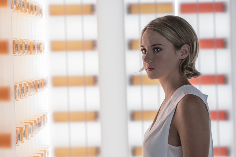 adult, young adult, Tris (The Divergent Series), indoors, business, The Divergent Series: Allegiant, concentration, headshot, looking, portrait, beauty