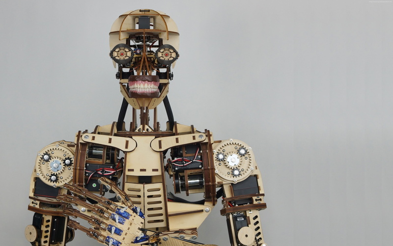 Maker Faire-2015, ROBOTS, 4K, Roy the robot