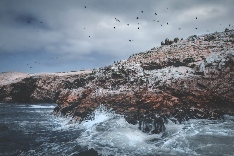 sea, seascape, cliff, beauty In Nature, coast, ica, flight, summer, animal, mountain, water, weather, photography, pacific Ocean, shore, rock, wildlife