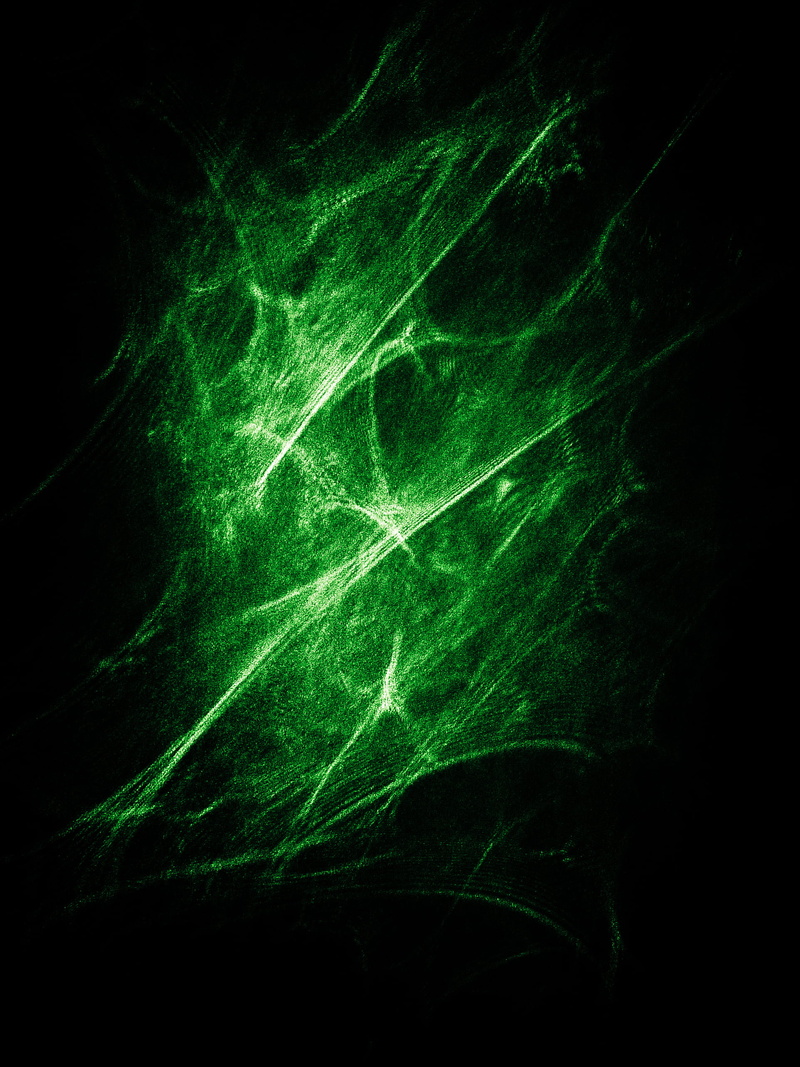 people, human body part, close-up, motion, green, 2K, black background, body part, nature, indoors, medical x-ray, green color, radioactive light, pattern