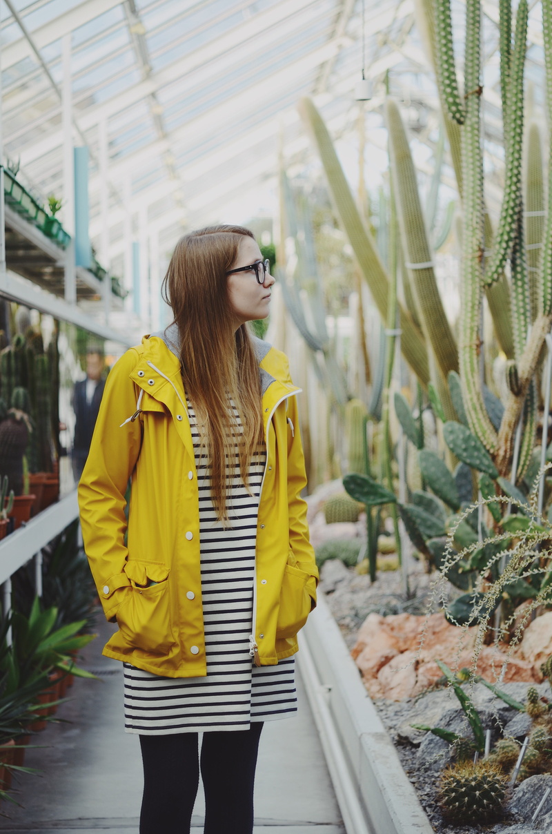 women, adult, young women, woman, white, female, striped, hairstyle, beauty, 4K, lifestyles, girl, plant, day, young adult, wearing, one person, leisure activity