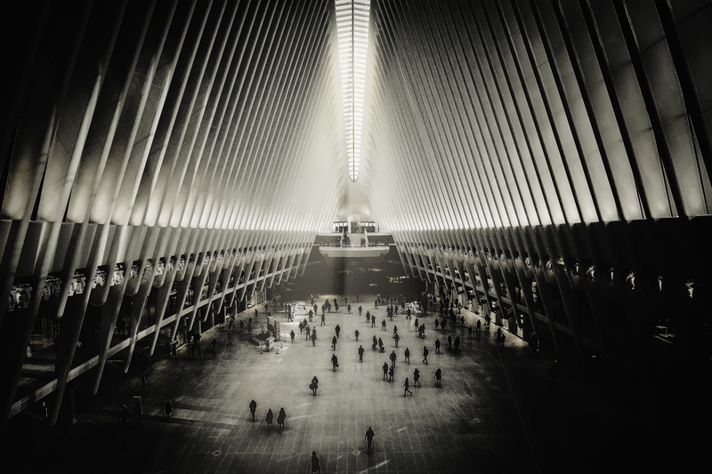 architecture, 5K, large group of people, urban, ny, travel destinations, city, newyork, day, incidental people, new york city, crowd, nyc, nature, high angle view