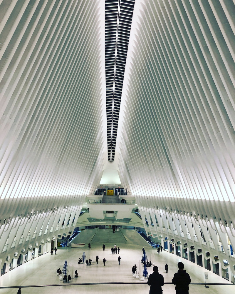 adult, indoors, group of people, new york, architecture, crowd, mall, large group of people, day, women, motion, roof, white, incidental people, manhattan