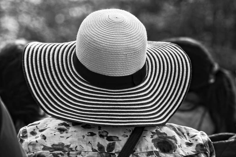 unrecognizable person, wearing, headgear, 4K, close-up, crown, striped straw hat, government, clothing, stripes, black and white stripes, summer hat, rear view