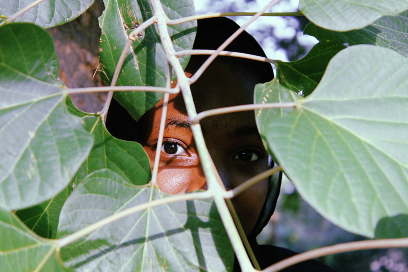 nature, green color, plant, nigerian, 4K, portrait, outdoors, eye, concealed, africa, happy, smile, people, forest, food, sunset, eyes, one animal, plant part
