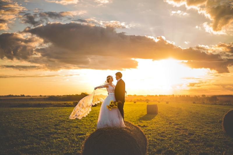 celebration, sky, event, flowers, pre nuptial, gown, beauty in nature, love, life events, man, cloud - sky, 5K, outdoors, grass, bride, women, sunset