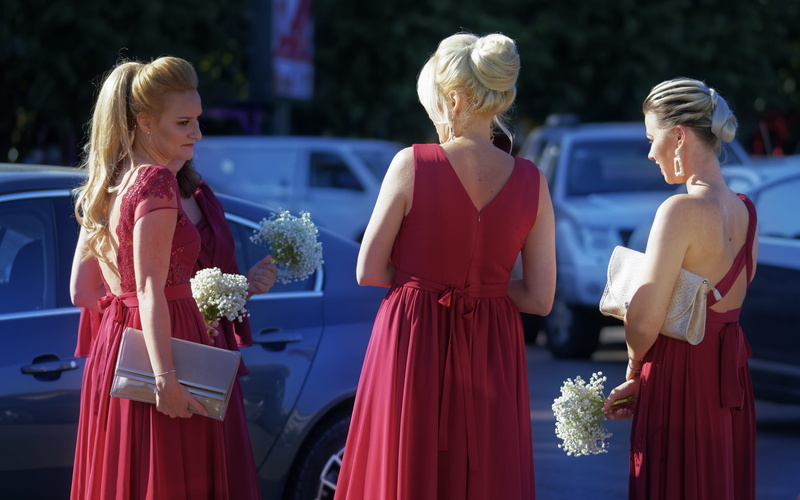 beautiful, focus on foreground, flower arrangement, red dresses, plant, wedding ceremony, child, flowers, pretty, celebration, three quarter length, bouquet