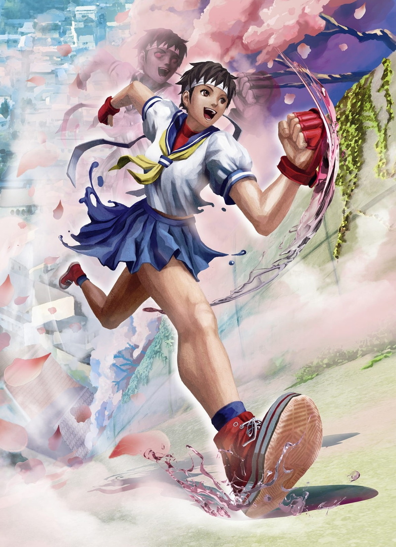 x, kasugano, artwork, Video Games, street, art, sakura, games, hd, video, tekken, street fighter, 720P, fighter