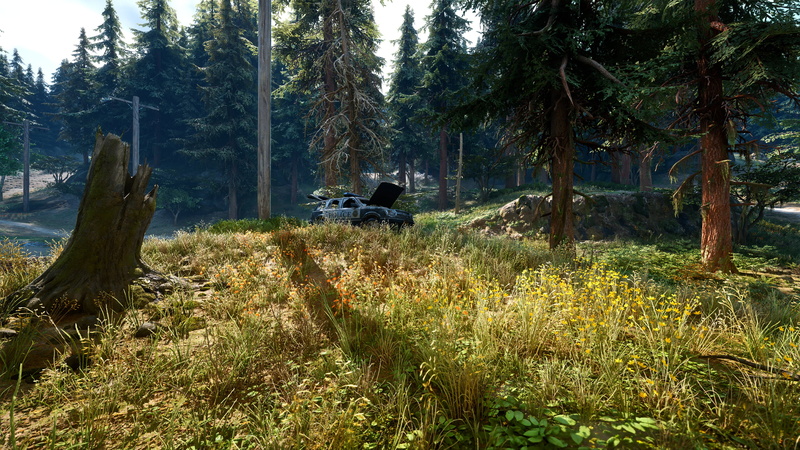 2K, Days Gone, apocalyptic, zombies, digital art, nature, game art, video games, reshade, forest, bend studios
