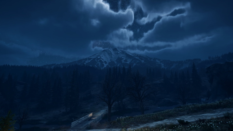 video games, reshade, snow, mountains, forest, landscape, Days Gone, digital art, night, bend studios, 2K