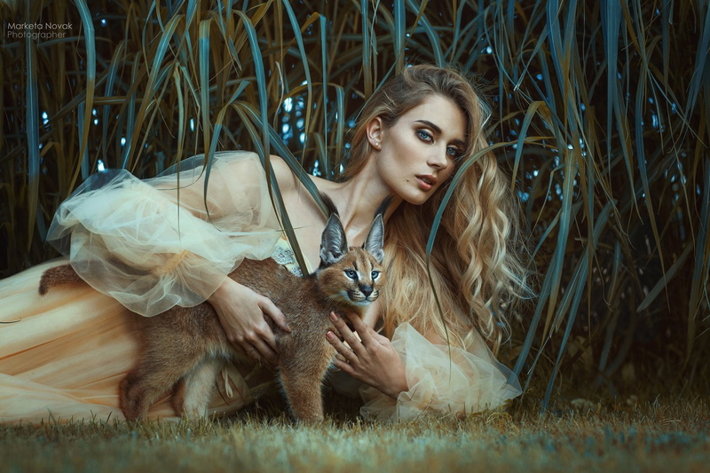 girl, 1080P, wild cat, Caracal, dress, look, grass, hair, Marketa Novak, pose, Andrea Záleská