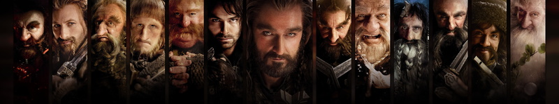 full frame, abundance, The Hobbit, close-up, panoramic, natural pattern, brown, large group of objects, panels, no people, nature, pattern, Thorin Oakenshield