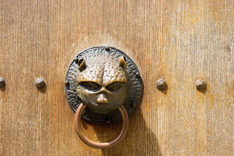 art and craft, wood - material, hoher dom zu augsburg, animal wildlife, ornate, detail, augsburg, animal, ancient, entrance, feline, close-up, antique