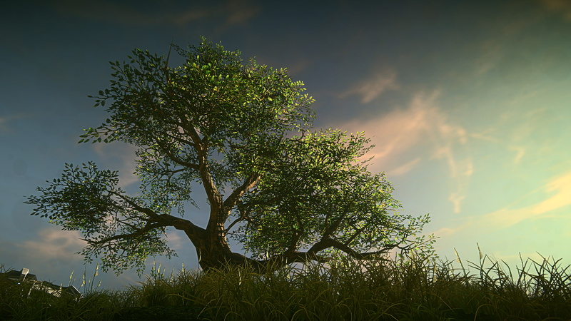 sunlight, scenics - nature, day, beauty in nature, outdoors, tree, branch, tranquil scene, 1080P, low angle view, nature, Planetside 2, plant, no people