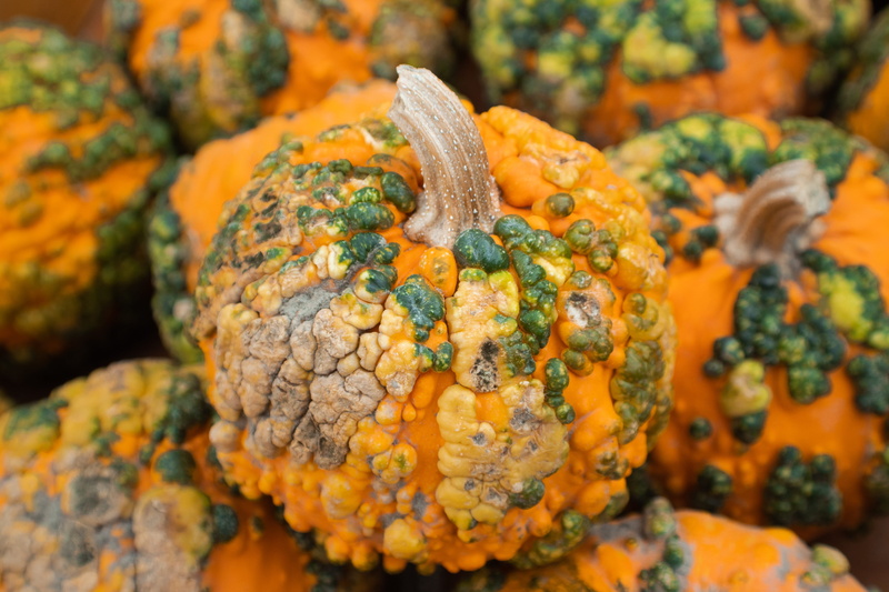 pumpkins, wellbeing, market, focus on foreground, pumpkin, retail, full frame, vegetarian food, healthy eating, freshness, focus, photograhpy, orange, orange color