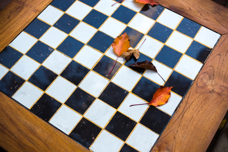 blue, day, real people, chess board, food, wood - material, draughts, food and drink, tile, leaf, containing, one person, top, wooden, nature, framed, checked pattern
